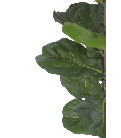 Jeune ficus lyrata artificiel