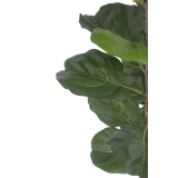 Jeune ficus lyrata artificiel