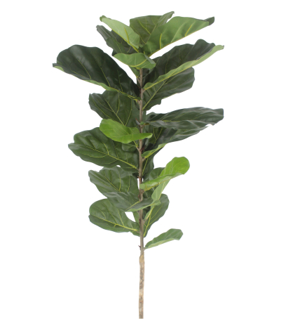 Jeune ficus lyrata artificiel