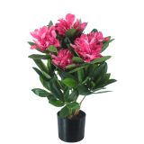 Rhododendron artificiel rose