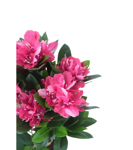 Rhododendron artificiel rose