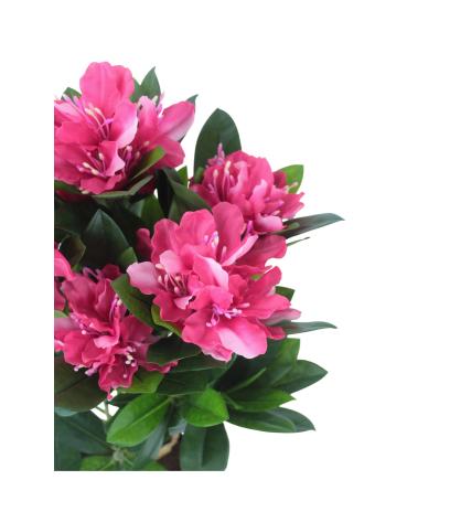 Rhododendron artificiel rose