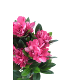 Rhododendron artificiel rose