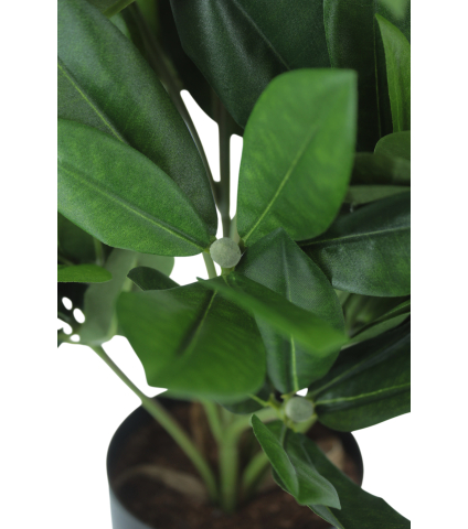 Rhododendron artificiel blanc