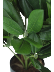 Rhododendron artificiel blanc