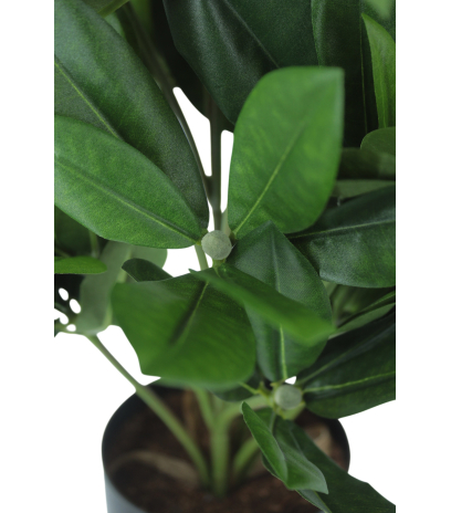 Rhododendron artificiel blanc