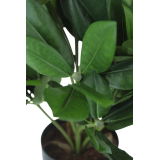 Rhododendron artificiel blanc