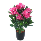 Rhododendron artificiel rose