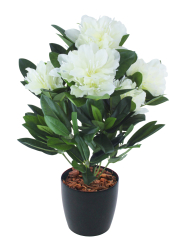 Rhododendron artificiel blanc