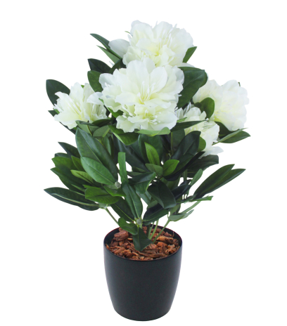 Rhododendron artificiel blanc