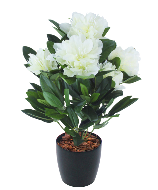 Rhododendron artificiel blanc