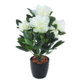 Rhododendron artificiel blanc