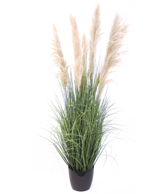 Grand plumeau artificiel