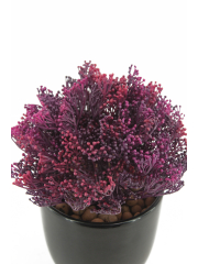 Skimmia artificiel violet