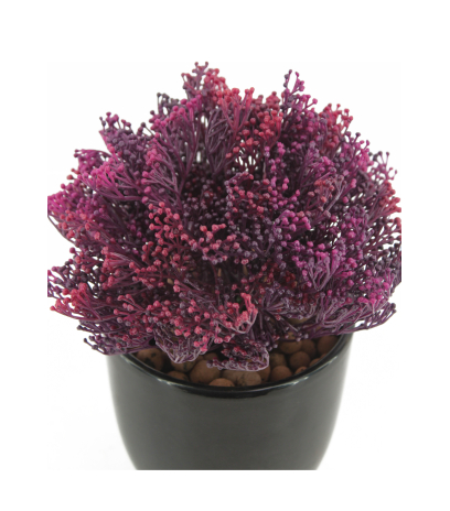 Skimmia artificiel violet