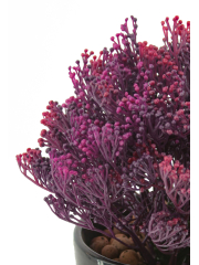 Skimmia artificiel violet