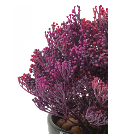 Skimmia artificiel violet