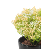 Skimmia artificiel vert et jaune