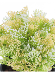 Skimmia artificiel vert et jaune