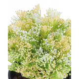 Skimmia artificiel vert et jaune