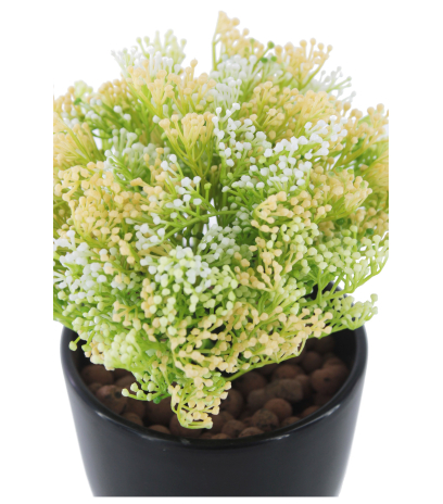 Skimmia artificiel vert et jaune