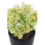 Skimmia artificiel vert et jaune