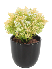 Skimmia artificiel vert et jaune