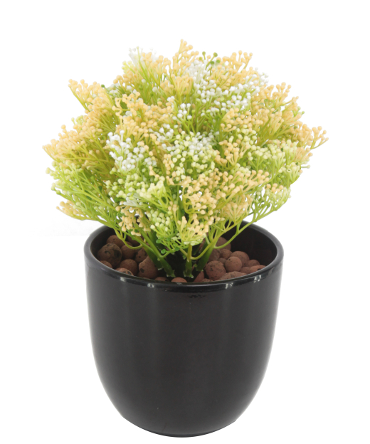 Skimmia artificiel vert et jaune