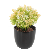 Skimmia artificiel vert et jaune