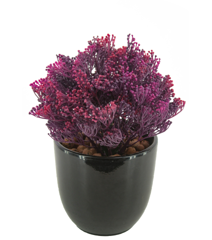 Skimmia artificiel violet