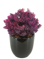 Skimmia artificiel violet