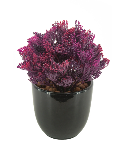 Skimmia artificiel violet