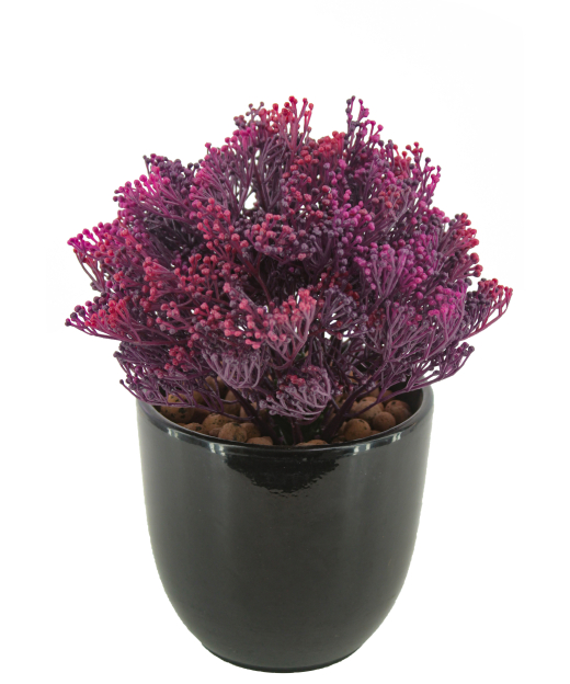 Skimmia artificiel violet