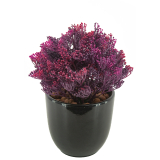 Skimmia artificiel violet