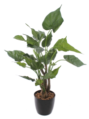 Alocasia cucullata artificiel
