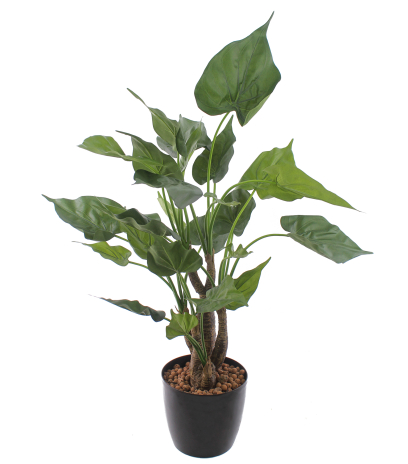 Alocasia cucullata artificiel