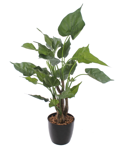Alocasia cucullata artificiel