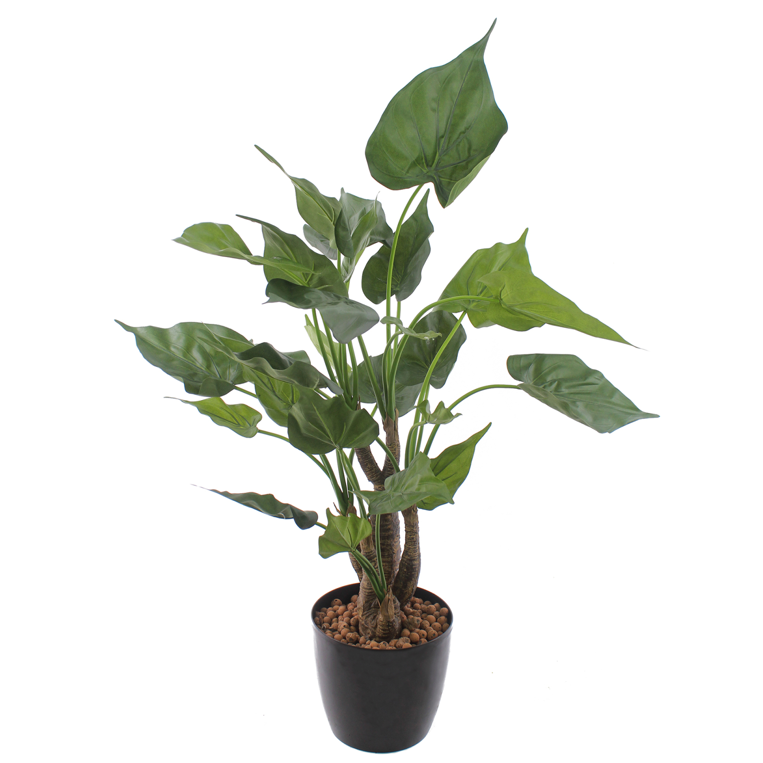 Alocasia cucullata artificiel