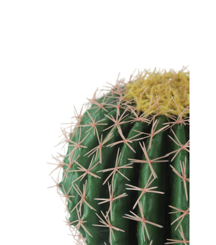Échinocactus artificiel