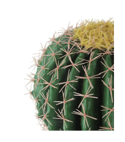 Échinocactus artificiel