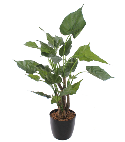 Alocasia cucullata artificiel