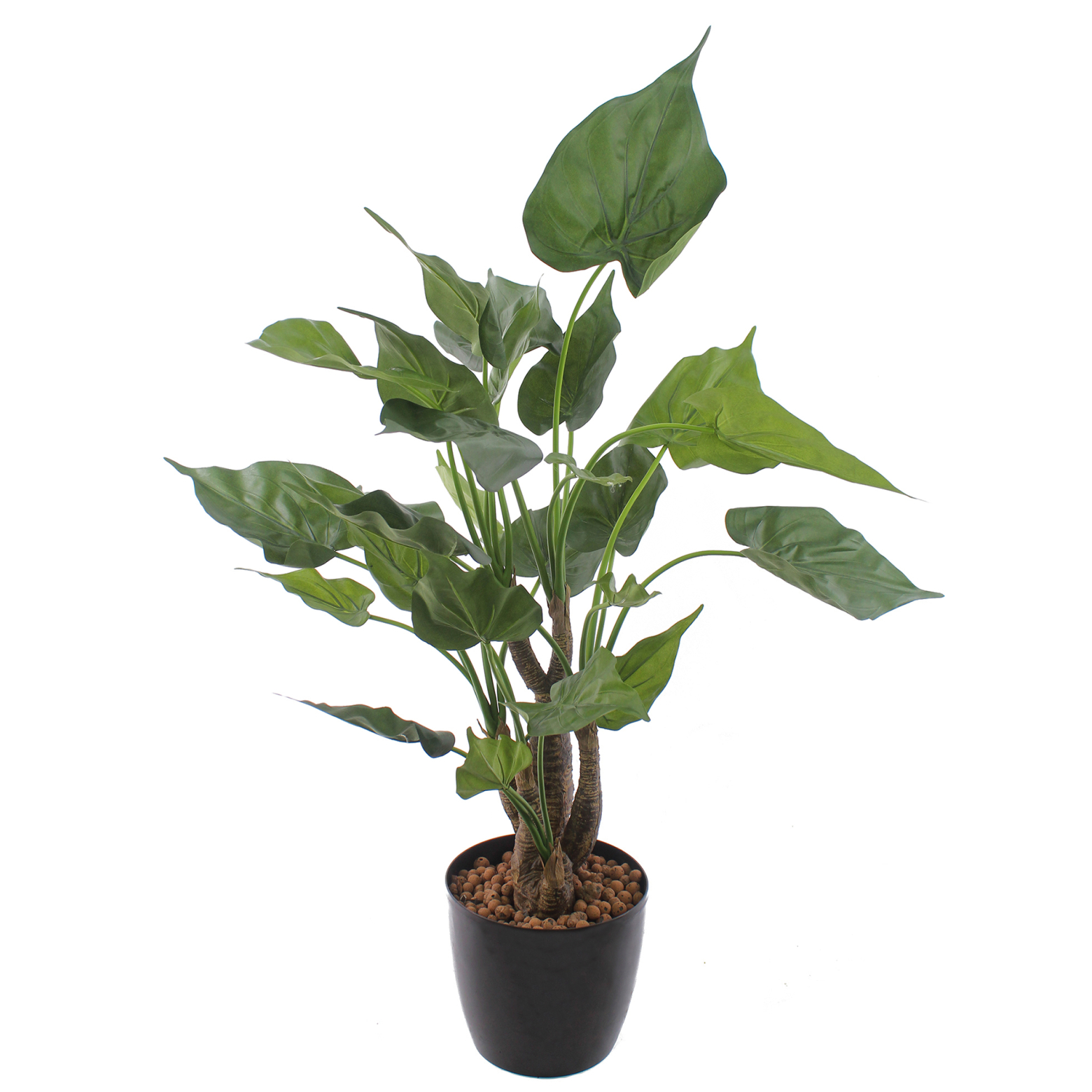 Alocasia cucullata artificiel