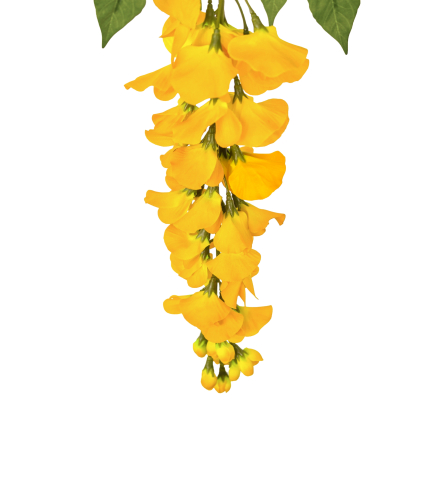 Tige de glycine artificielle jaune