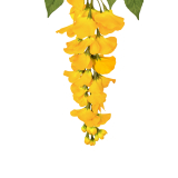 Tige de glycine artificielle jaune