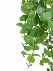 Eucalyptus artificiel retombant