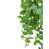 Eucalyptus artificiel retombant