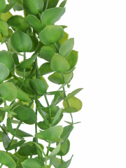 Eucalyptus artificiel retombant