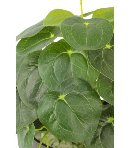 Pilea artificiel