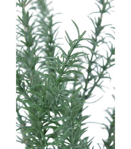 Romarin sauvage artificiel