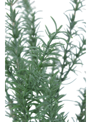 Romarin sauvage artificiel